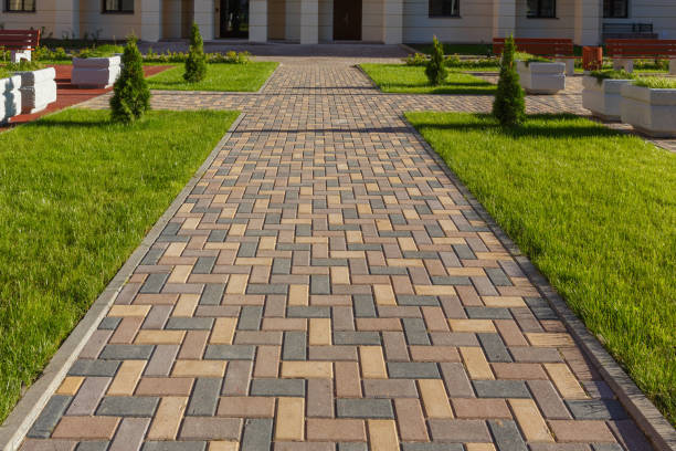 Best Driveway Paving Contractor  in Creedmoor, NC
